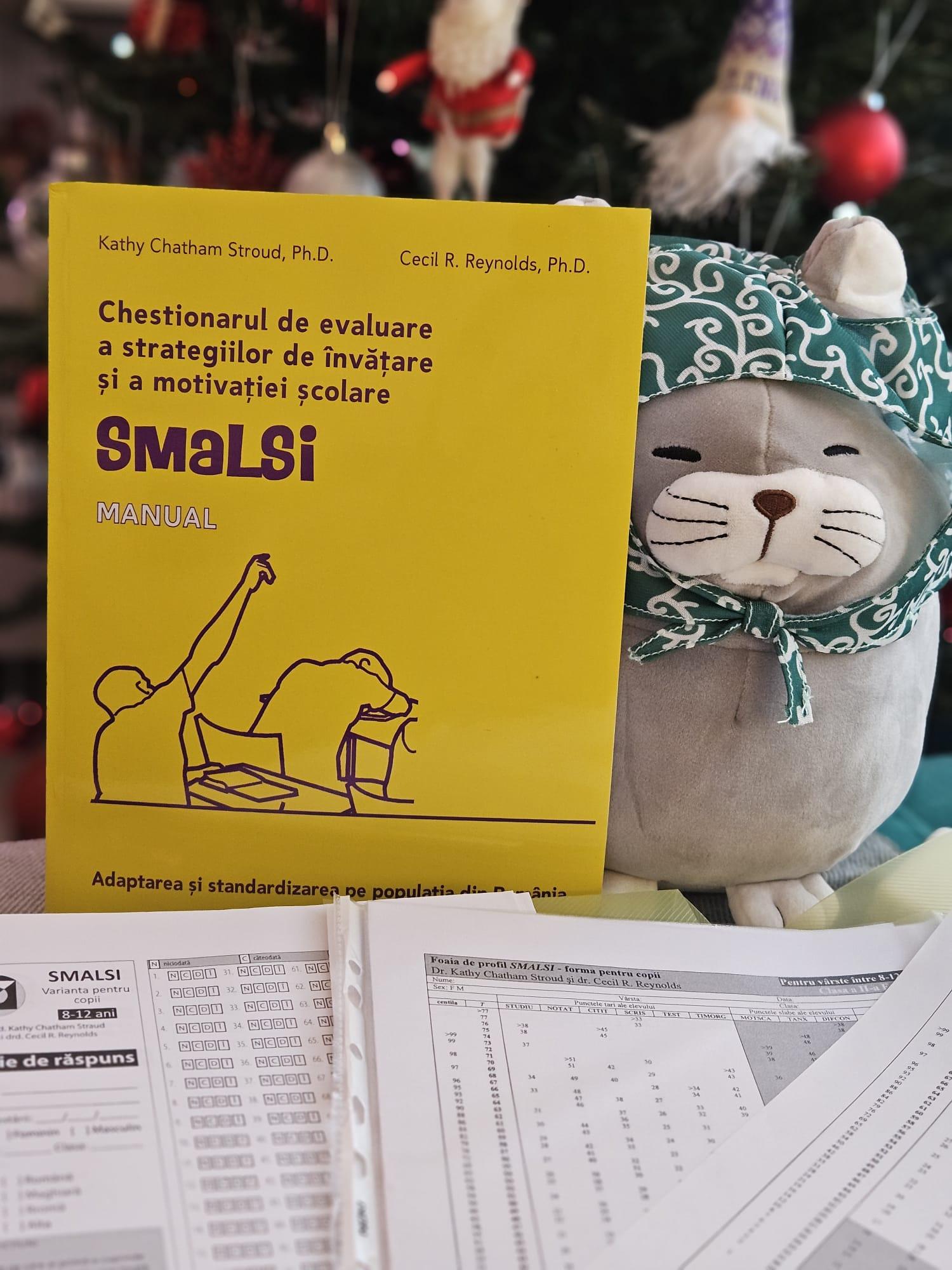 Imagine galerie Despre